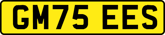 GM75EES