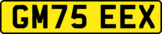 GM75EEX