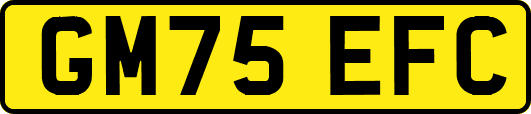 GM75EFC