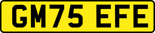 GM75EFE