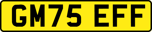 GM75EFF
