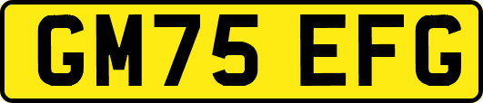 GM75EFG