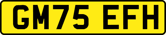 GM75EFH