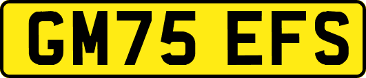 GM75EFS