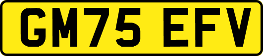 GM75EFV