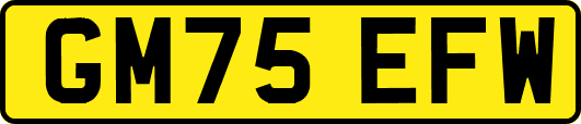 GM75EFW