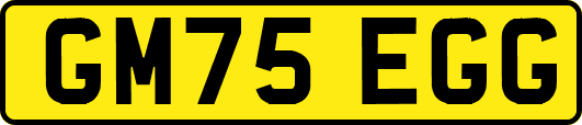 GM75EGG
