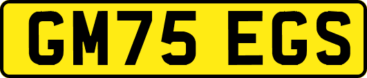 GM75EGS
