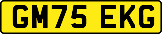 GM75EKG