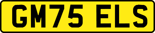 GM75ELS