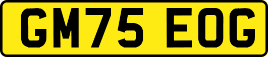 GM75EOG