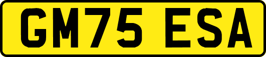 GM75ESA