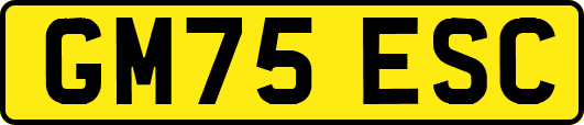 GM75ESC