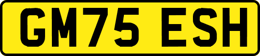 GM75ESH