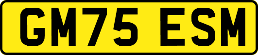 GM75ESM