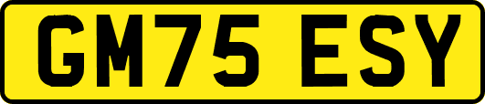 GM75ESY