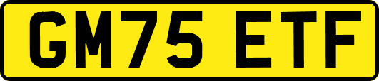 GM75ETF