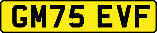 GM75EVF