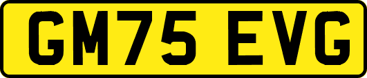 GM75EVG