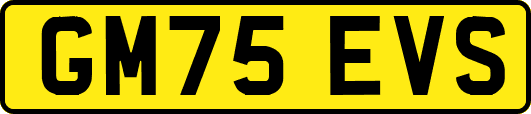 GM75EVS