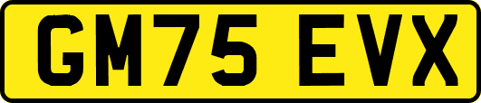 GM75EVX