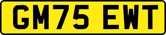 GM75EWT