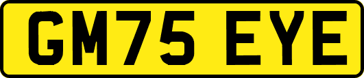 GM75EYE