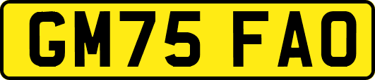 GM75FAO