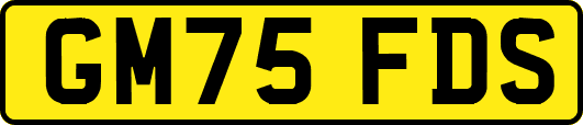 GM75FDS
