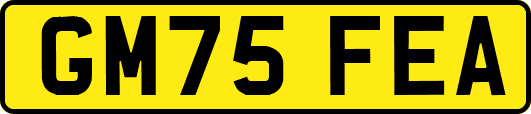 GM75FEA