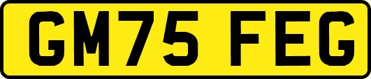 GM75FEG