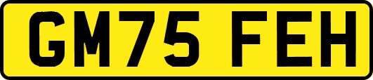 GM75FEH