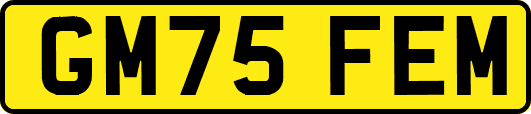 GM75FEM