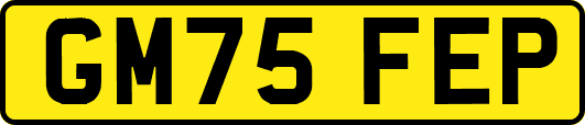 GM75FEP