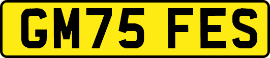 GM75FES