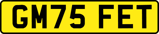 GM75FET