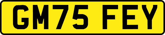 GM75FEY