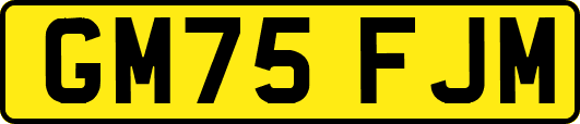 GM75FJM