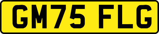 GM75FLG