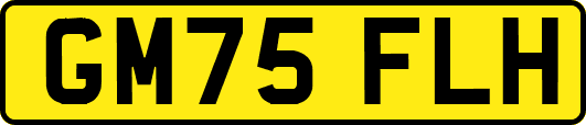 GM75FLH
