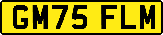 GM75FLM