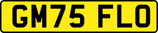 GM75FLO