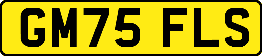 GM75FLS