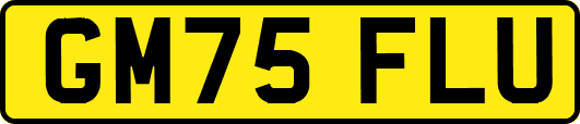 GM75FLU