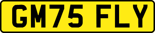 GM75FLY