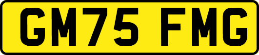 GM75FMG
