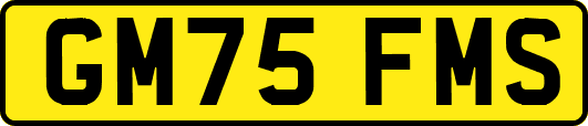 GM75FMS