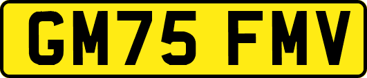 GM75FMV