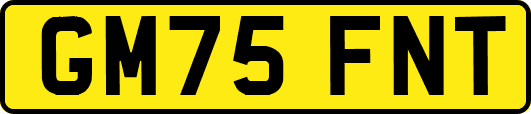 GM75FNT