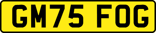 GM75FOG